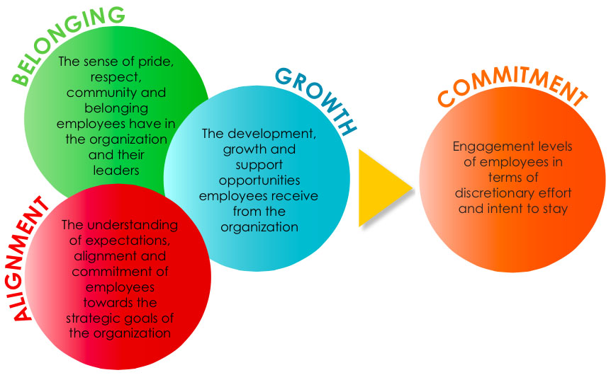 Community Engagement and Leadership Roles: